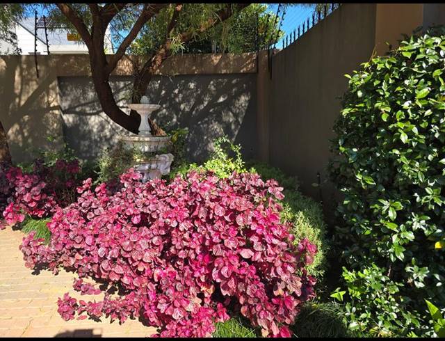 4 BEDROOM PROPERTY TO RENT IN WATERKLOOF HEIGHTS